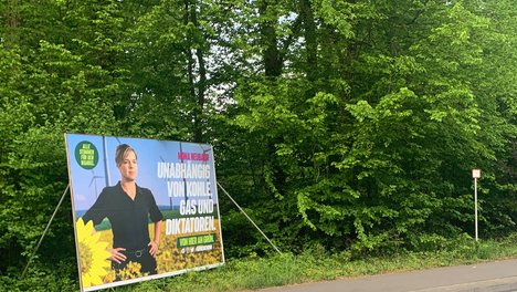 Großplakat im Naturschutzgebiet Gruppe Cox Bergisch Gladbach Großplakat im Naturschutzgebiet Gruppe Cox Bergisch Gladbach