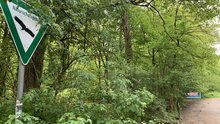 Naturschutzgebiet Gierather Wald mit Plakathintergrund