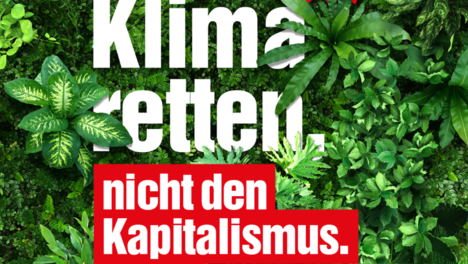 Klimastreik 14.02.2025 - 1