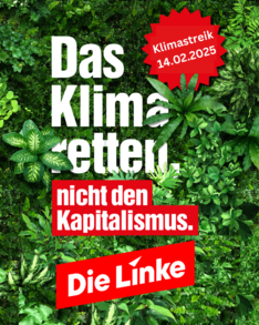 Klimastreik 14.02.2025 - 1