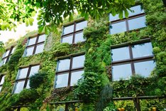 green, city, concept, environment, nature, climate, world, life, change, day, concept, eco, energy, background, ecology, environmental, nature, friendly, natural, fresh, design, environment, tree, spring, world, save, environmentally, template, leaf, creative, building