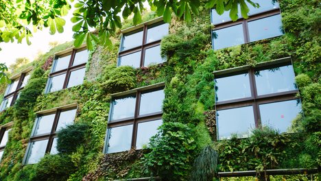 Green architecture concept. Building exterior covered with plants in modern city green, city, concept, environment, nature, climate, world, life, change, day, concept, eco, energy, background, ecology, environmental, nature, friendly, natural, fresh, design, environment, tree, spring, world, save, environmentally, template, leaf, creative, building