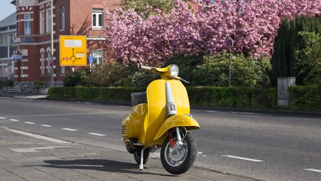 Roller, gelb, Mofa, Strasse, Parken, Stadt, Verkehrschild, Gebäude, Kirschbaum, Baum, Frühling, Tag, Außenaufnahme, Zweirad, Fahrzeug, Transport, Kraftfahrzeug, Transportmittel, City, Motorroller, Verkehr, Fahrbahn, Scooter, Moped, Niemand, Sonnenlicht, Schatten, Jahreszeit, Horizontal, Deutschland, Leichlingen