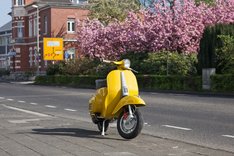 Gelber Roller Roller, gelb, Mofa, Strasse, Parken, Stadt, Verkehrschild, Gebäude, Kirschbaum, Baum, Frühling, Tag, Außenaufnahme, Zweirad, Fahrzeug, Transport, Kraftfahrzeug, Transportmittel, City, Motorroller, Verkehr, Fahrbahn, Scooter, Moped, Niemand, Sonnenlicht, Schatten, Jahreszeit, Horizontal, Deutschland, Leichlingen